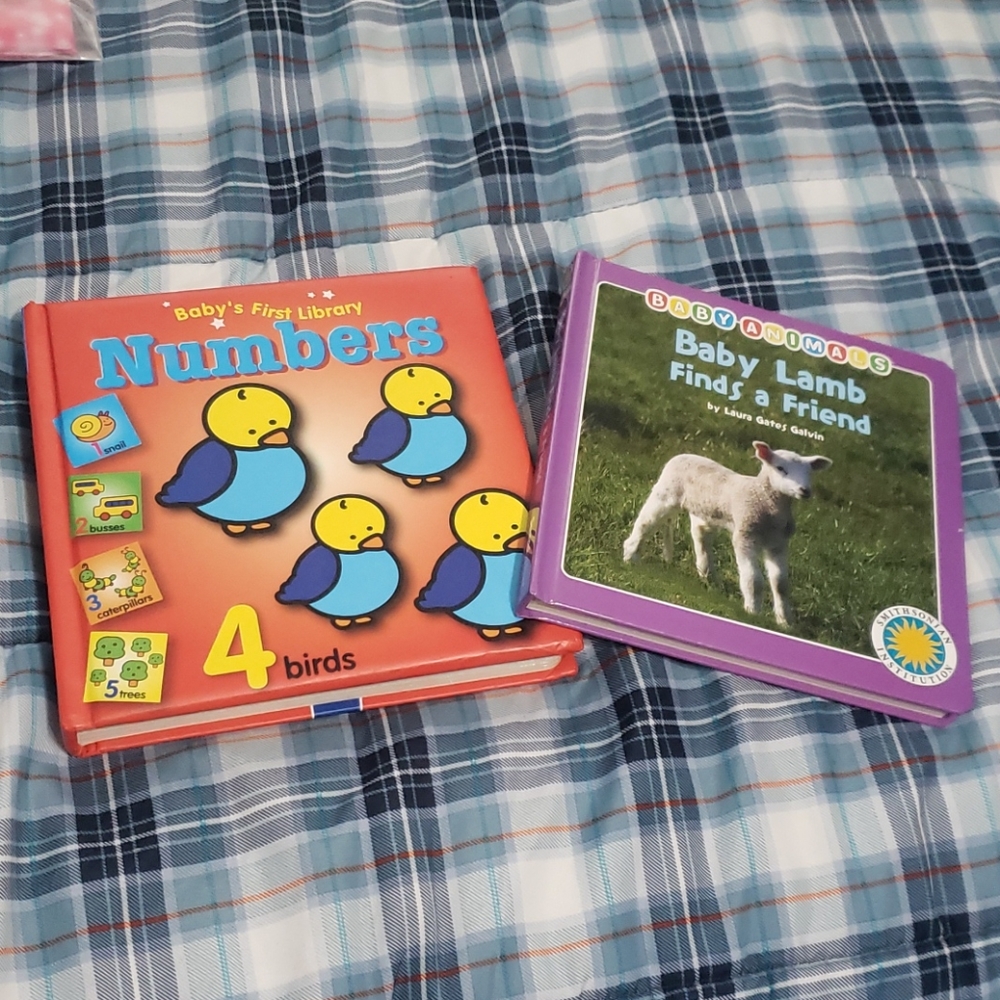 Baby toddler kid 2 book lot Baby lamb numbers
